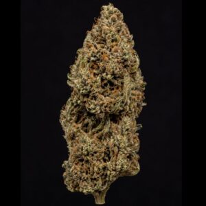 auto amnesia cogollo