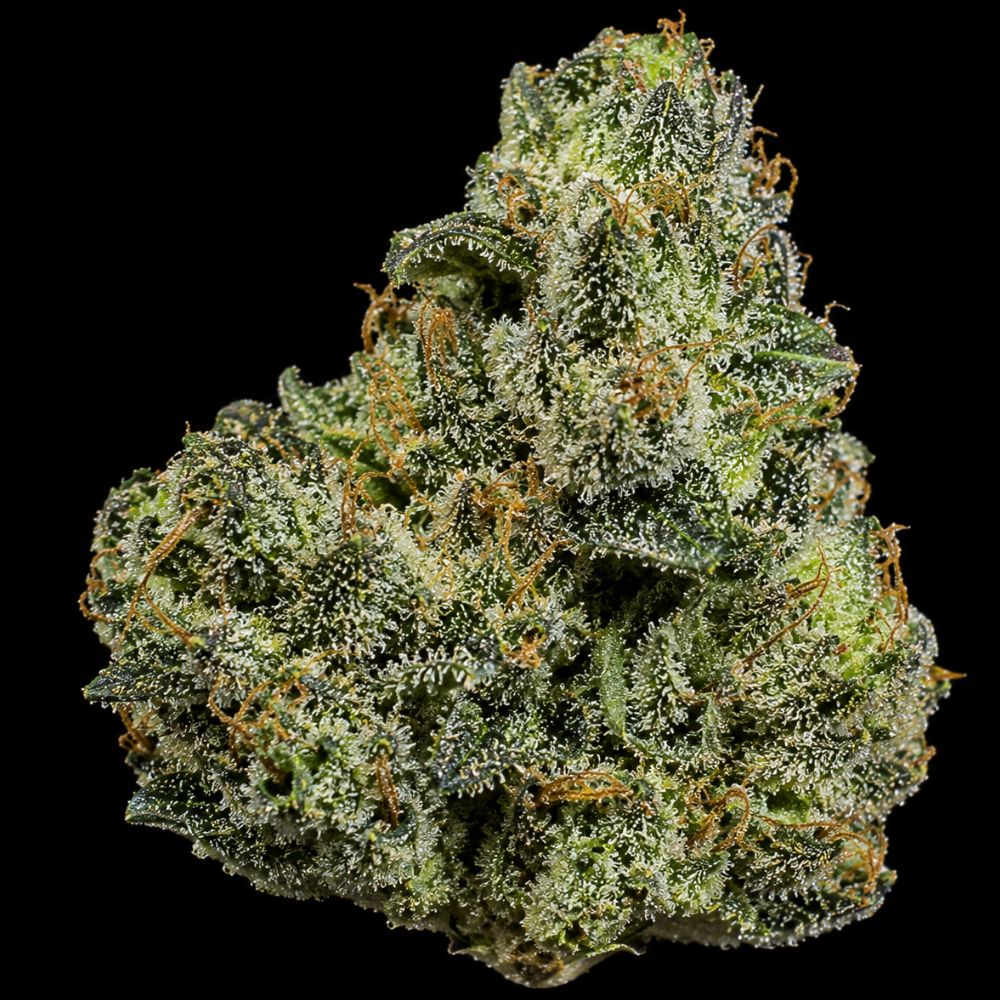 Semillas auto white widow weed