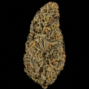 Semillas auto zkittlez cogollo