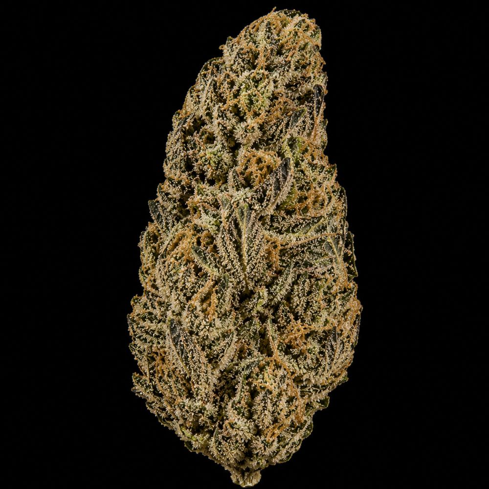 Semillas auto zkittlez cogollo