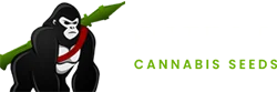 Gorilla Cannabis Seeds