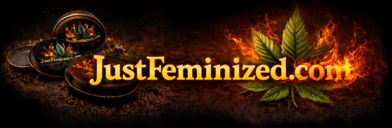 Just Feminized