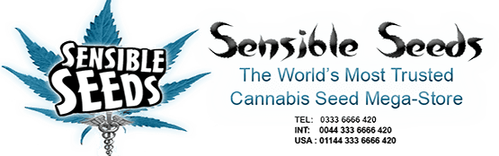 Sensible Seeds